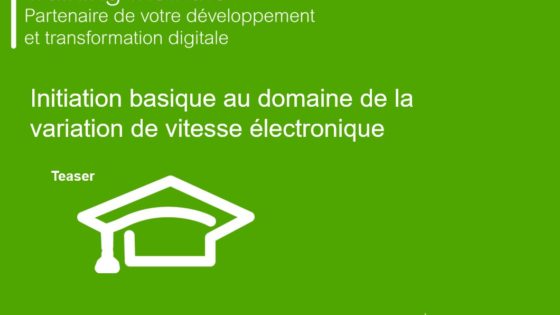 Initiation basique au domaine de la variation de vitesse électronique l Flipo Richir