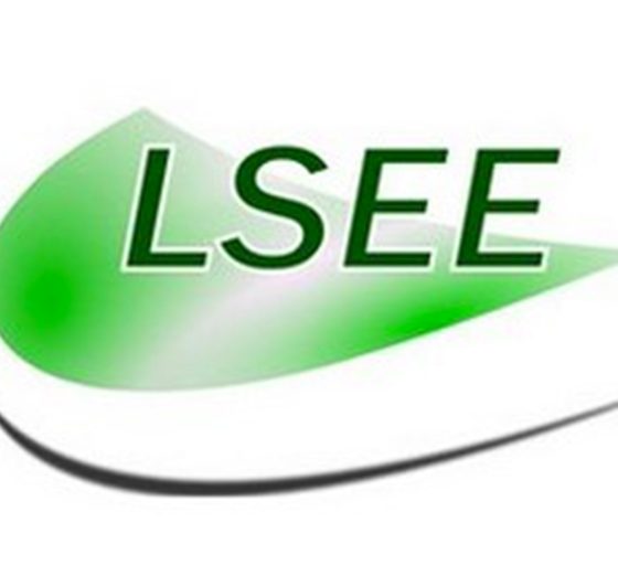 Logo LSEE